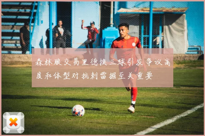 森林狼交易里德换三球引发争议高度和体型对抗刺雷掘至关重要