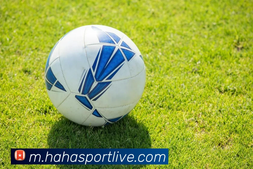 哈哈体育品牌故事