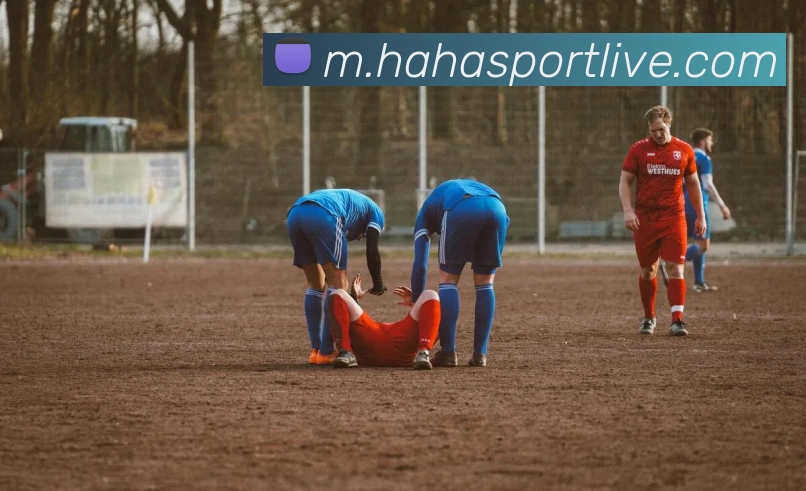 哈哈体育服务体系